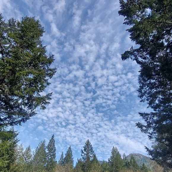 Meet your Posher, Margie - Picture 2 of 5